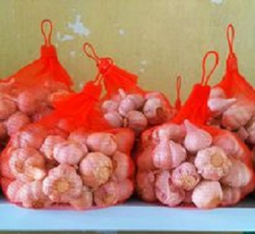 2kg tỏi nhà trồng