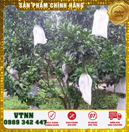 TÚI BỌC TRÁI CÂY BƠ, ỔI, XOÀI SÉT 200 TÚI CÓ DÂY RÚT 18x20CM VẢI KHÔNG DỆT