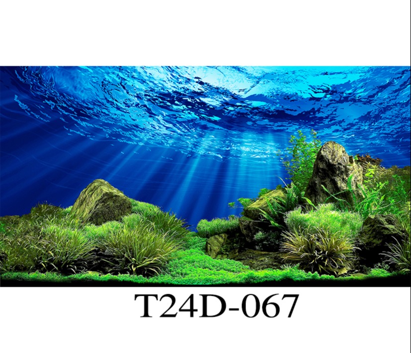 Tranh 3D bể cá - Decal lụa có keo sẵn ( nhiều kích thước )