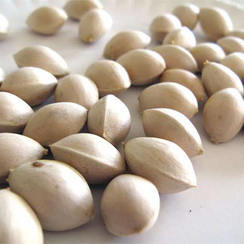 Bạch quả (gói 1kg) - DB113