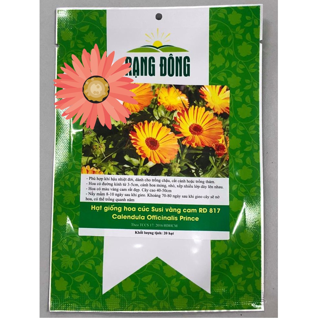 Hạt Giống Hoa Cúc Susi Vàng Cam 20 hạt