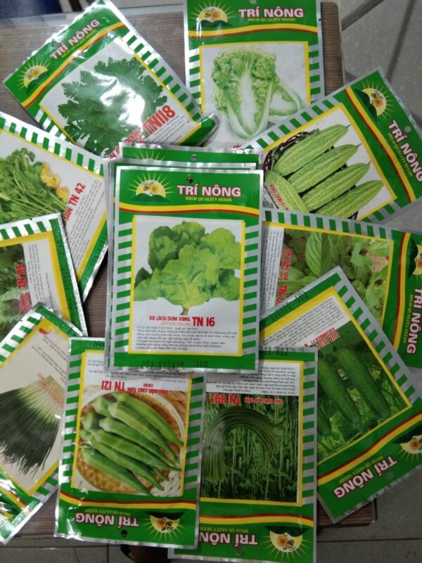 Hạt giống rau rền đỏ, 1 túi ăn cả năm
