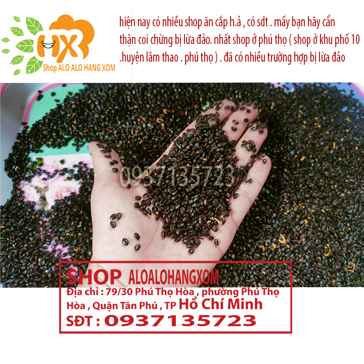 Hạt giống cây tràm lai - 1000 gram