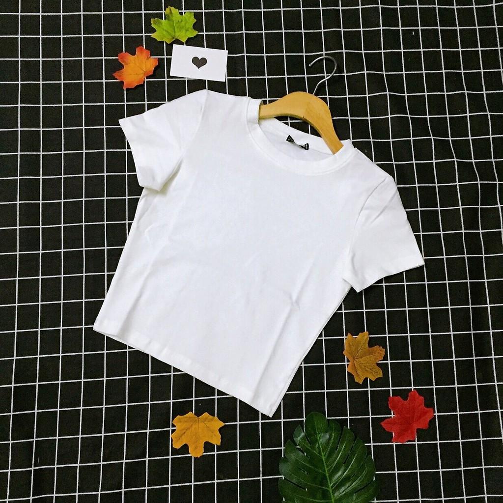Áo phông crotop cộc tay ôm body
