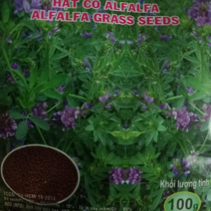 Hạt giống cỏ linh lăng ALFALFA gói 100gr
