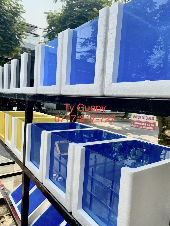 Sơn Chống Thấm Cho Thùng Xốp Nuôi Cá 🍀🍀🍀🍀
