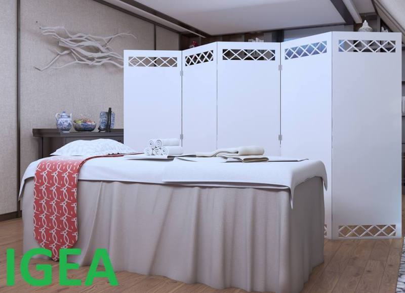 Bình Phong Vách Ngăn Kín IG465 ( giá 1 cánh kèm 2 chân)