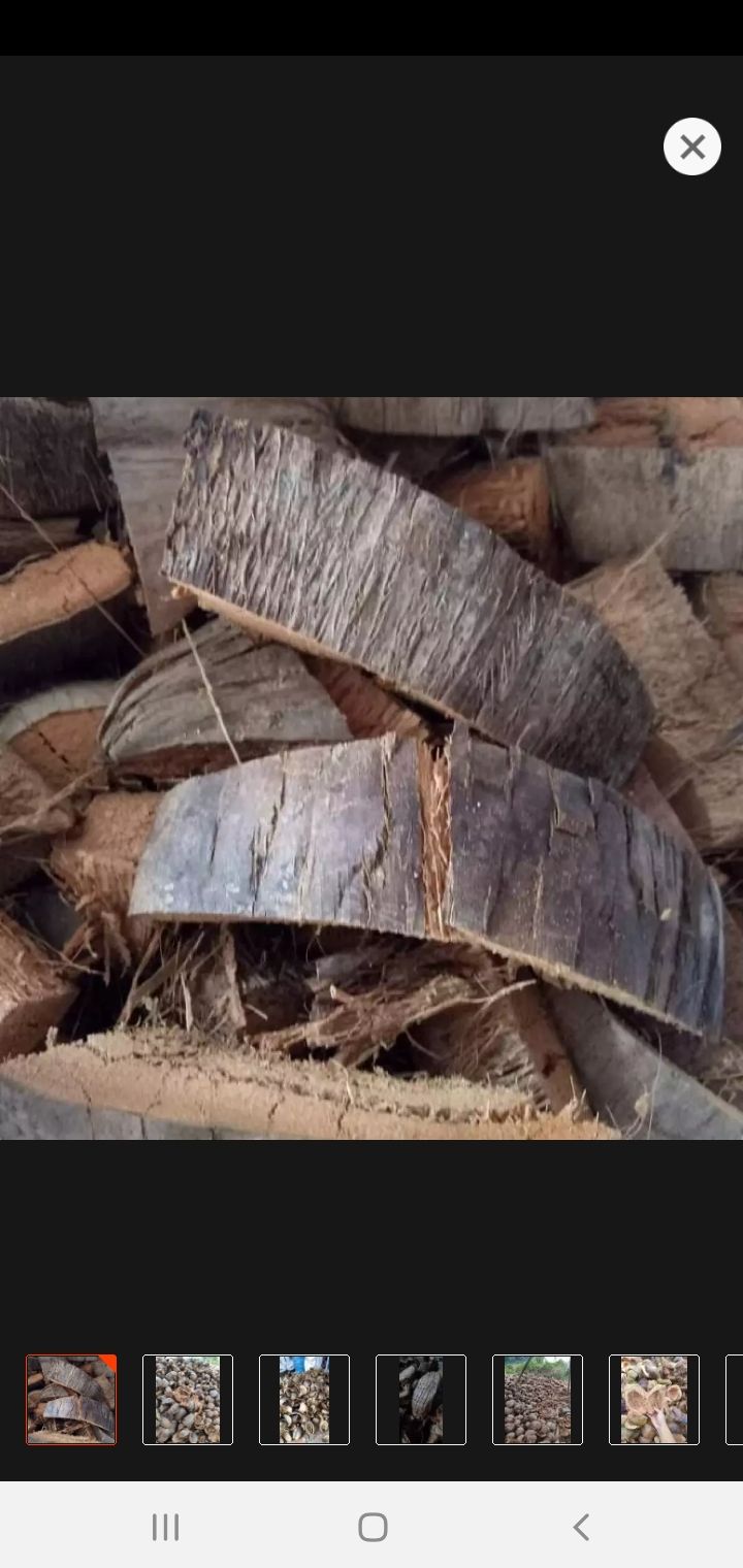 Vỏ dừa khô trồng lan 1kg