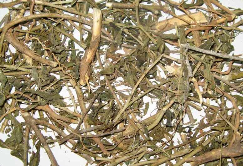 cây dừa cạn khô 500gr hàng loại 1