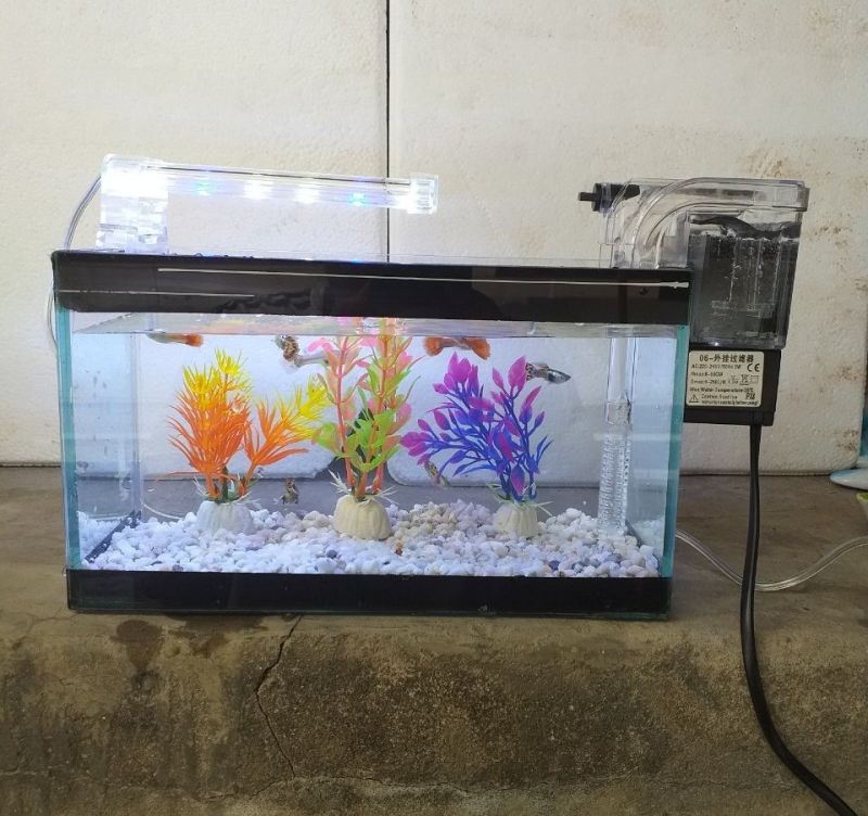 Set bể cá 24 cm với 6 món (bể, sỏi nền, máy lọc nước, men vi sinh, đèn led, 3 cây nhựa mini)