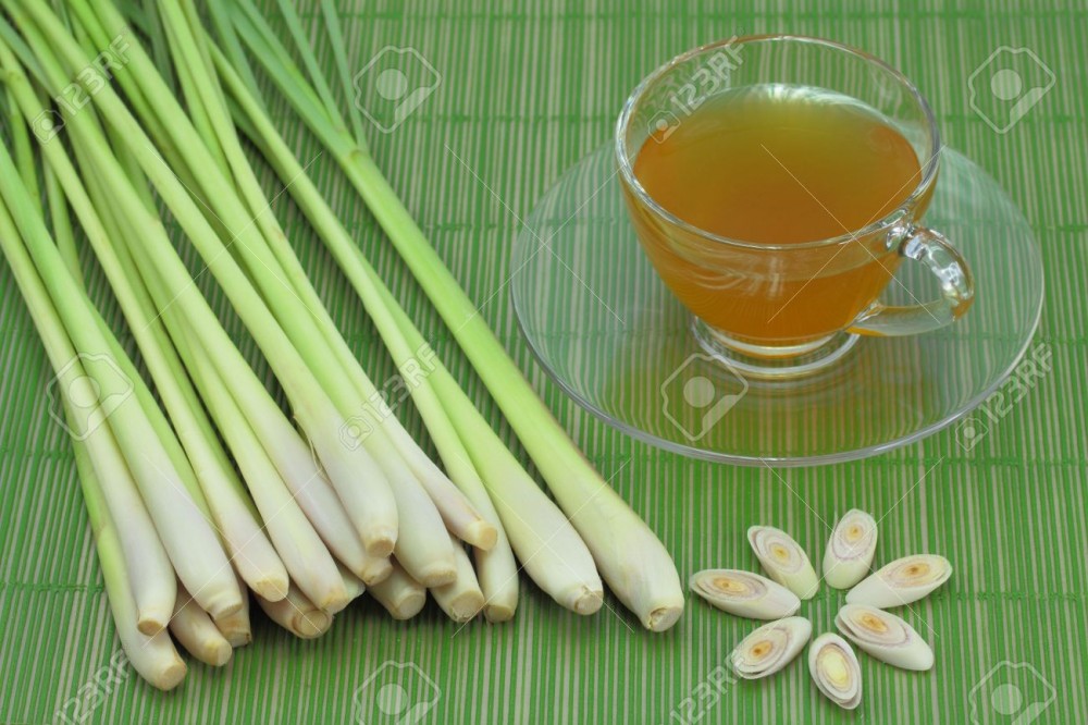 Tinh dầu sả chanh lọ 10ml