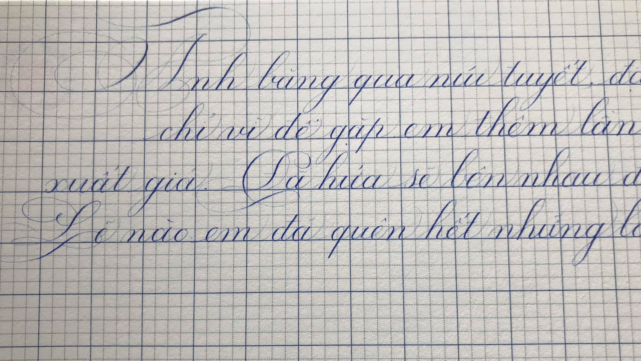 MỰC KHÁNG NƯỚC PLATINUM PIGMENT INK