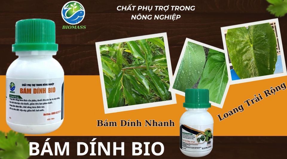 [HCM] BÁM DÍNH BIO  CHAI 50ML