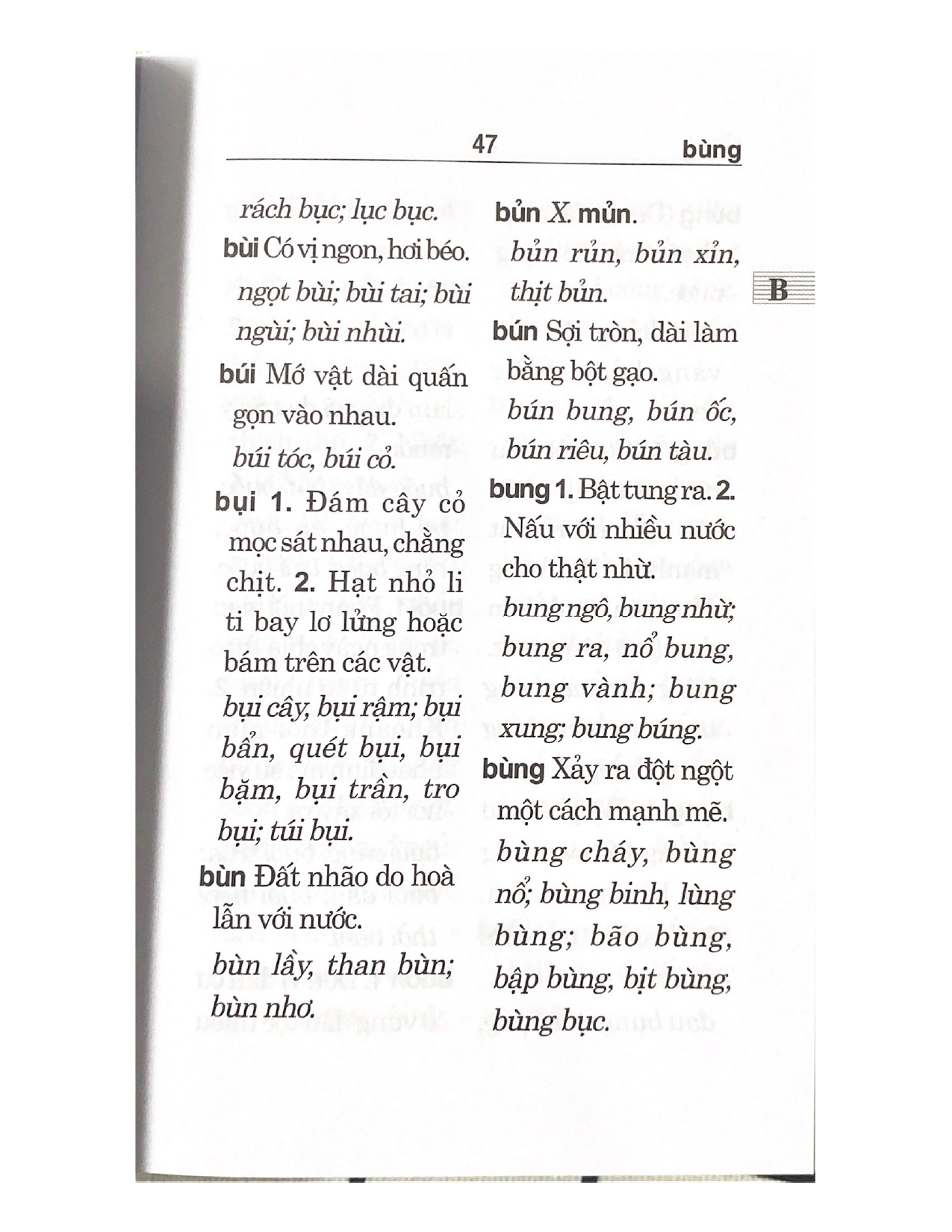 Sách - Từ Điển Chính Tả Tiếng Việt (Tác Phẩm Được Viện Ngôn Ngữ Học Thẩm Định)-Vanlangbooks