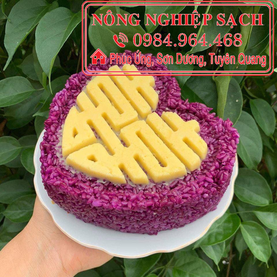 combo 20 cây lá cẩm tím nấu xôi