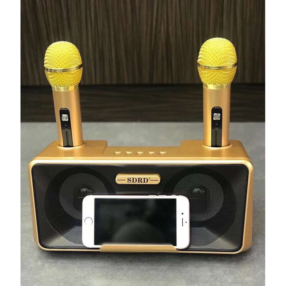 Loa Bluetooth Karaoke SD-302 - Hàng Nhập Khẩu