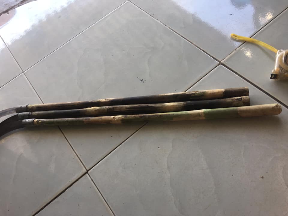 Liềm cắt cành, thanh long, cây cối