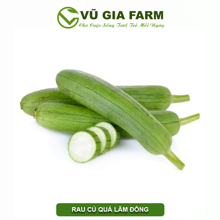 Mướp Hương Đức Trọng – Lâm Đồng (1KG)