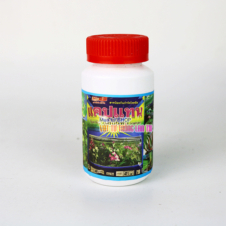 Trừ thối nhũn cho Lan Captan hàng Thái Lan - lọ 50g