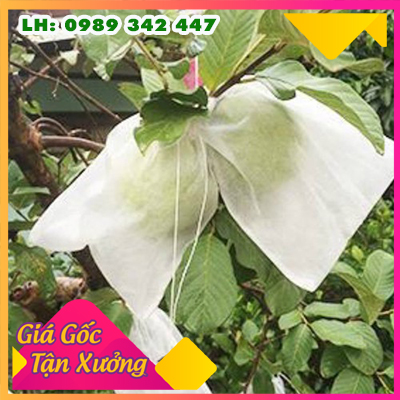 TÚI BỌC TRÁI CÂY BƠ, ỔI, XOÀI SÉT 100 TÚI CÓ DÂY RÚT 16x20CM VẢI KHÔNG DỆT