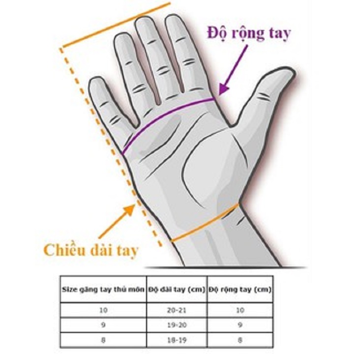 GĂNG TAY THỦ MÔN BÓNG ĐÁ
