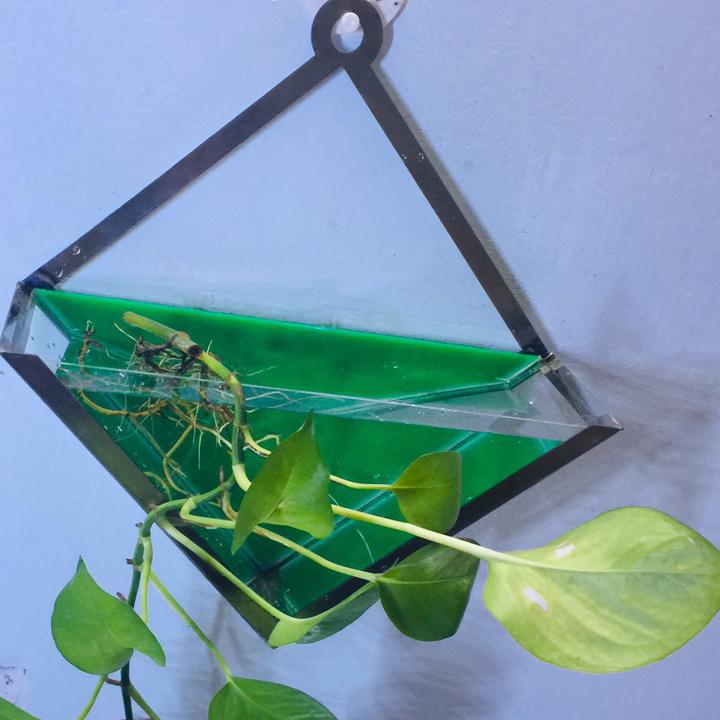 Bể cá mini treo tường ,  trồng cây size 19