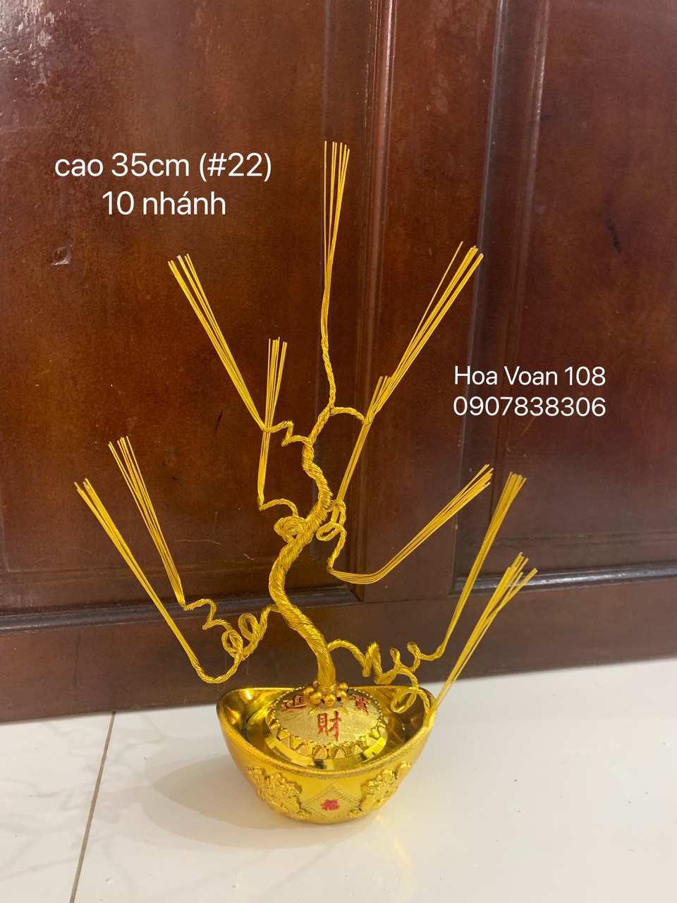 Gốc cây kim tiền( thỏi vàng +gốc)