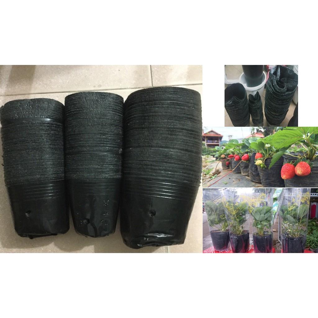 1kg Túi bầu đen  ươm cây 13x12