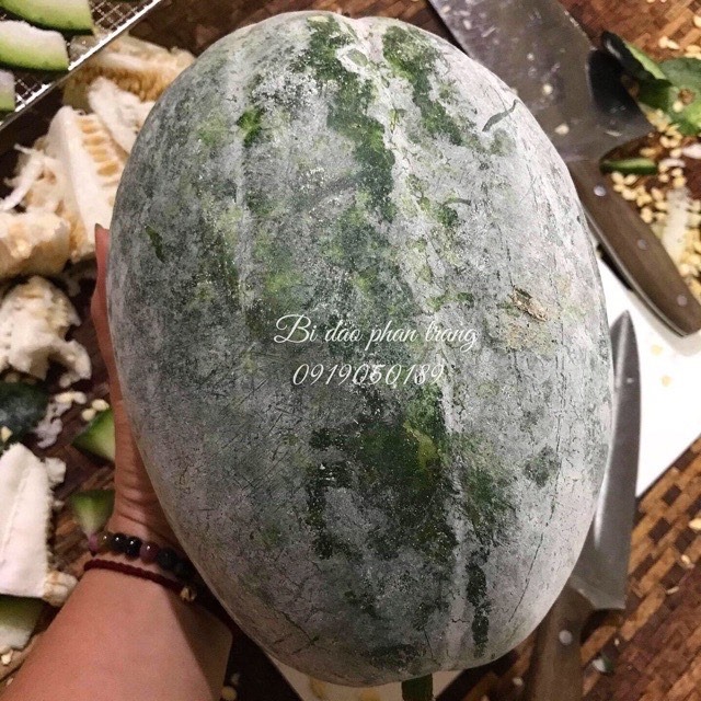 Trà Sâm Bí Đao Hạt Chia Giảm Cân