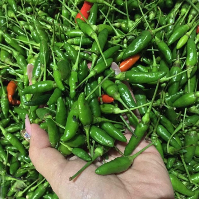 Ớt hiểm ngâm nước mắm