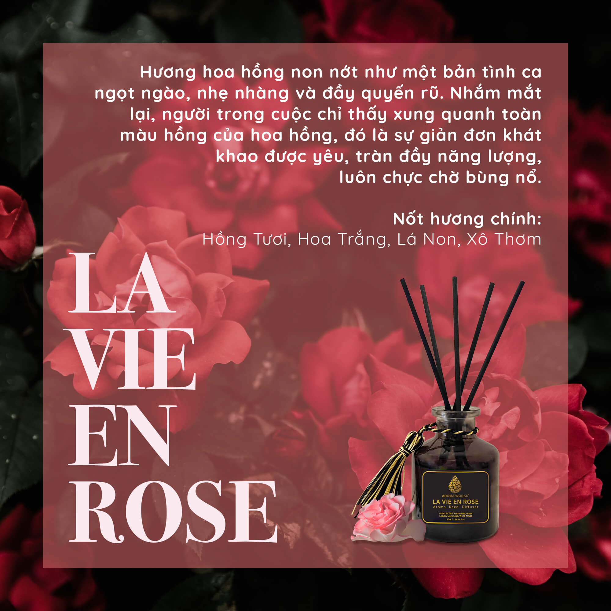 Tinh Dầu Tán Hương Que Mây Aroma Works Reed Diffuser - Spa Collections 130ml