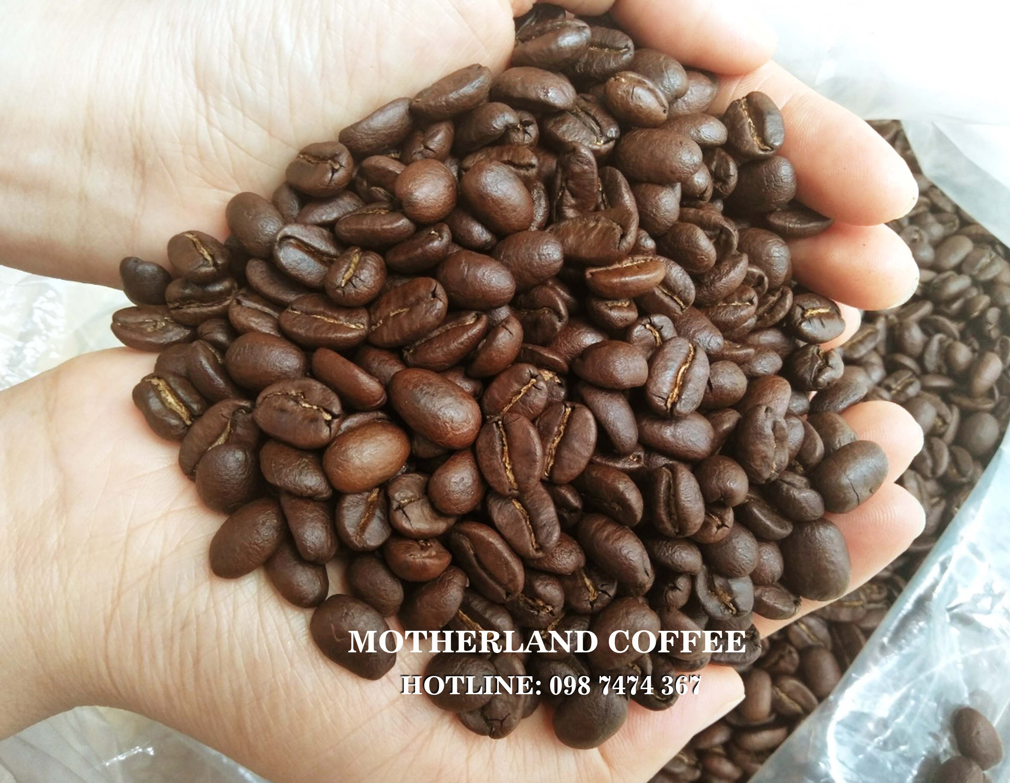 Cà phê Arabica Cầu Đất Đạt Lạt gói 250g