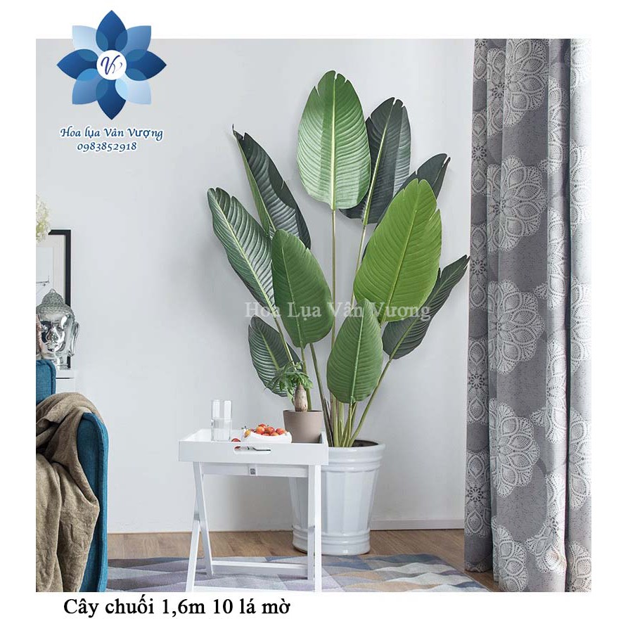 Cây Giả Cây Chuối Cảnh Lá Mờ