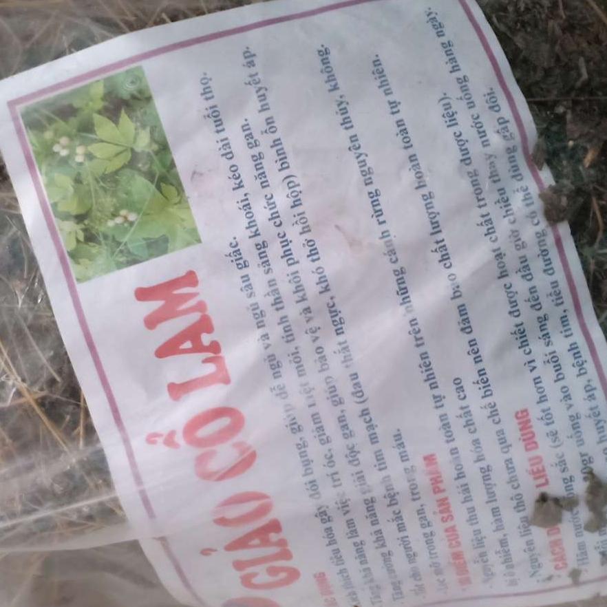 Giảo cổ Lam - 1kg