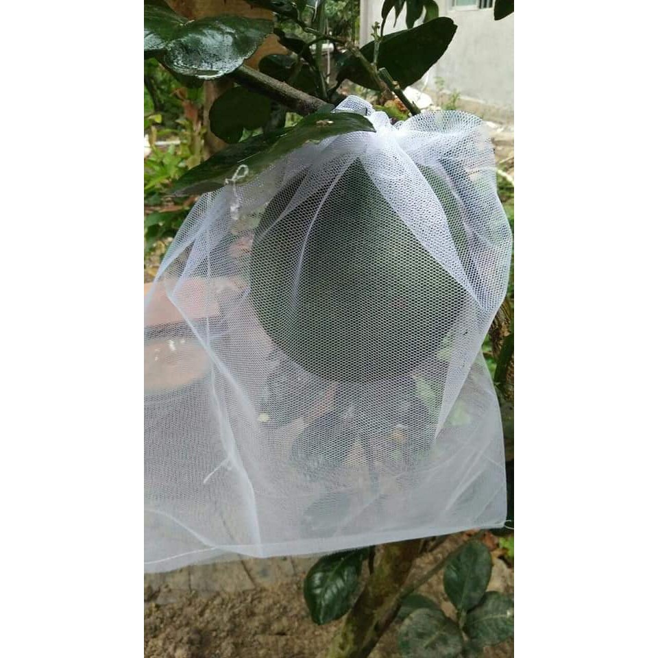 [35*40cm] 50 CÁI TÚI BỌC BƯỞI LƯỚI TỐT, TÚI BAO TRÁI CÂY NHO, NHÃN, DƯA LƯỚI LOẠI 33*40