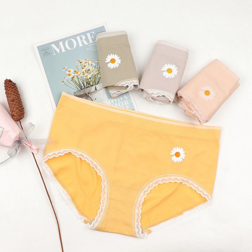 Hộp 4 chiếc quần lót nữ cotton họa tiết hoa cúc kiểu mới, thấm hút mồ hôi tốt, co giãn bốn chiều vô cùng thoải mái khi mặc, nhiều màu tiện dụng thay đổi phù hợp với mọi loại trang phục - Bo 4 chiec quan lot nu sieu mem min