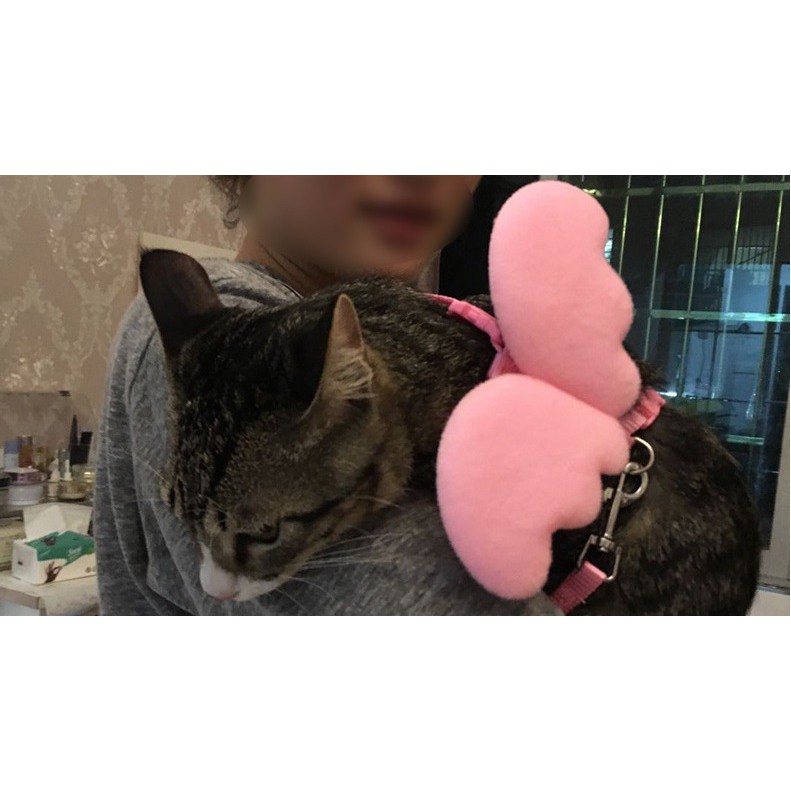 Dây Dắt Yếm Cho Chó Mèo Thú Cưng Cánh Thiên Thần