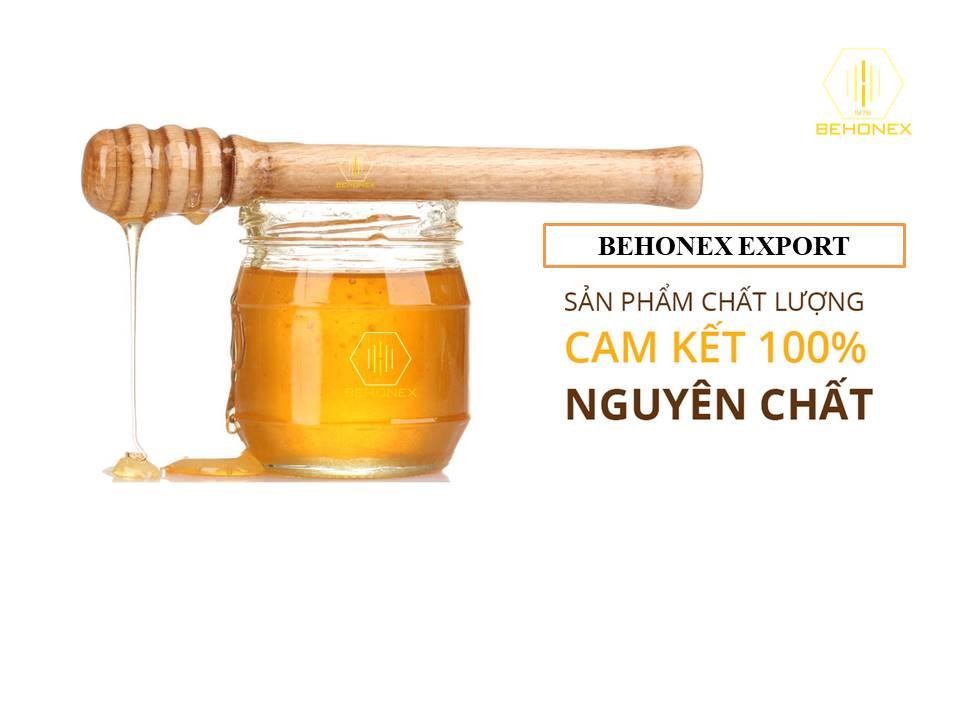 [NGUYÊN CHẤT] MẬT ONG HOA NHÃN 600ML