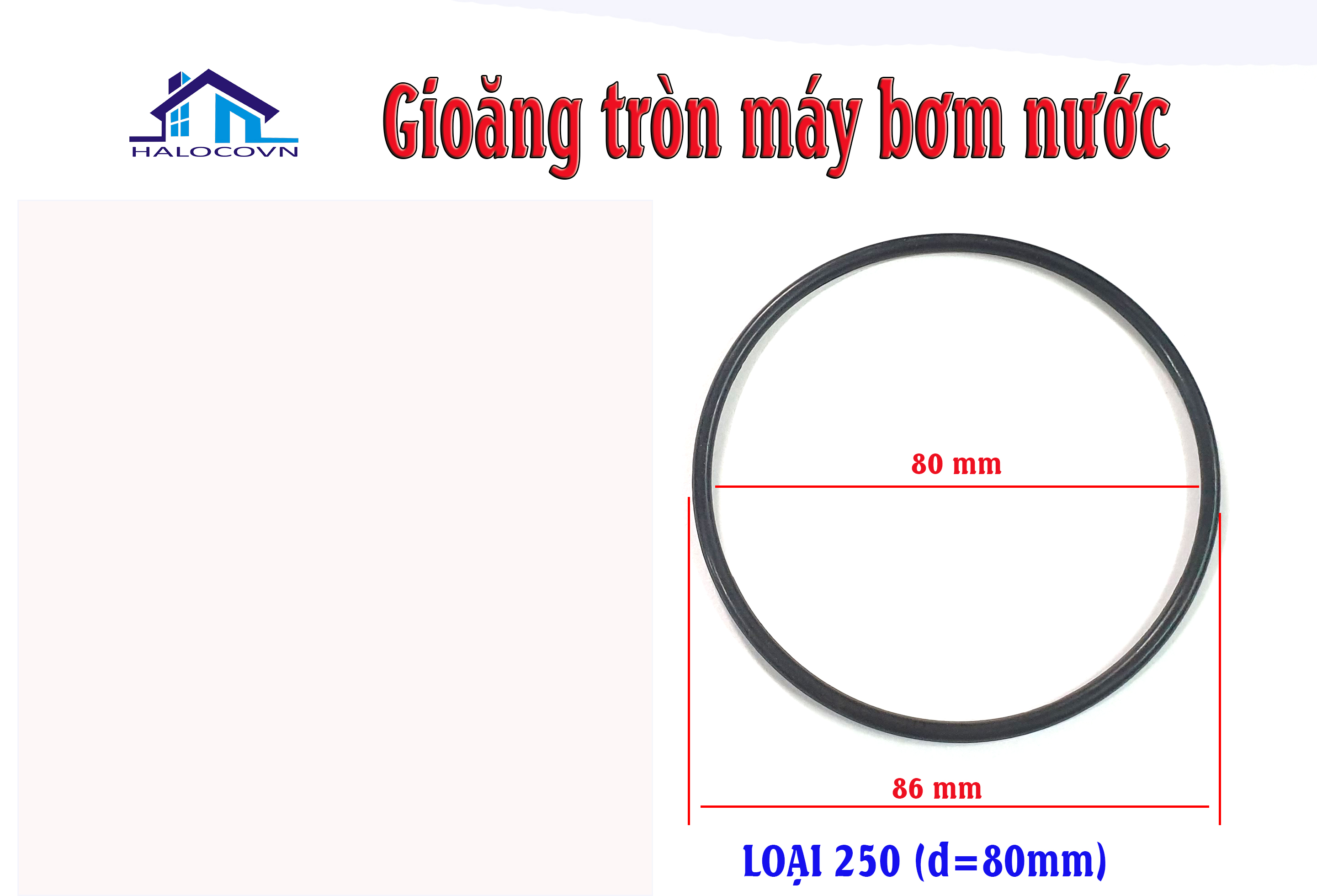 Gioăng máy bơm nước 125 250