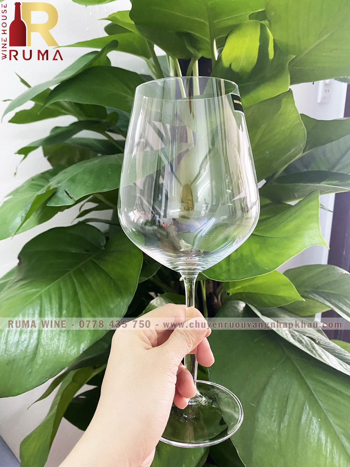 Bộ 4 ly pha lê Tiệp uống vang Gourmet 715 ml