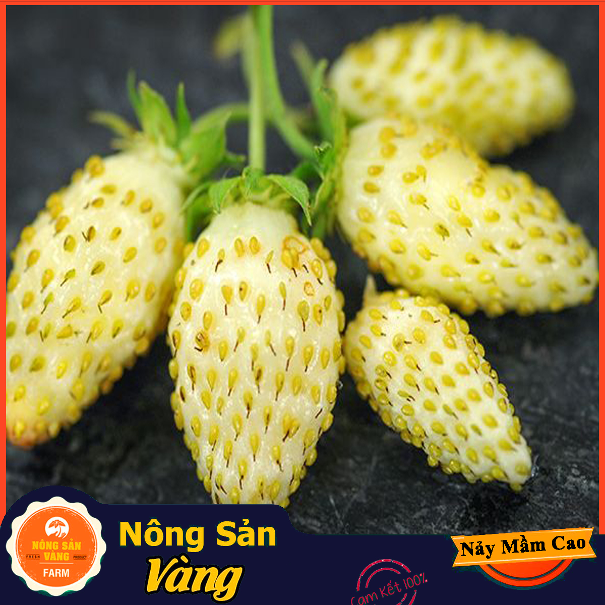 Strawberry yellow seeds with easy mashing taste and lots of nutrition value (pack of 30 seeds)-shallow yellow product