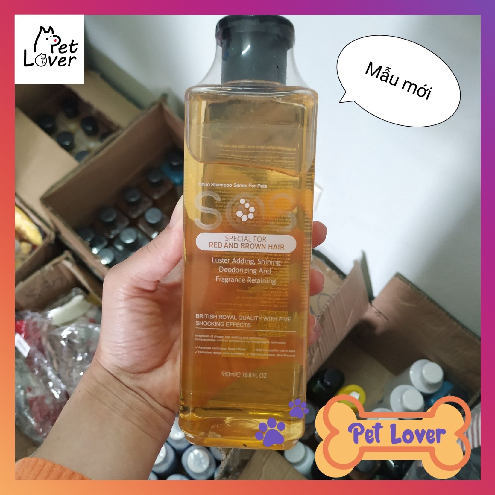 Sữa tắm cho chó poodle, sạch thơm và không làm phai màu lông của bé, sữa tắm cho chó lông nâu, dòng chuyên dành cho chó lông nâu đỏ, sữa tắm chó poodle giữ nguyên màu lông bé iu - Petlover