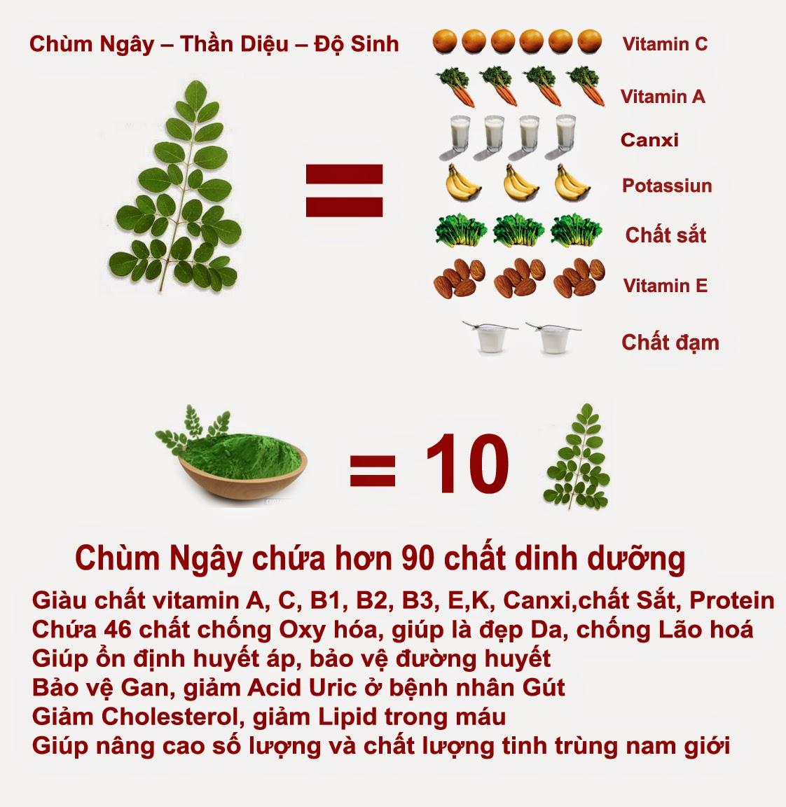 [HCM]Combo 5 hộp trà túi lọc chùm ngây
