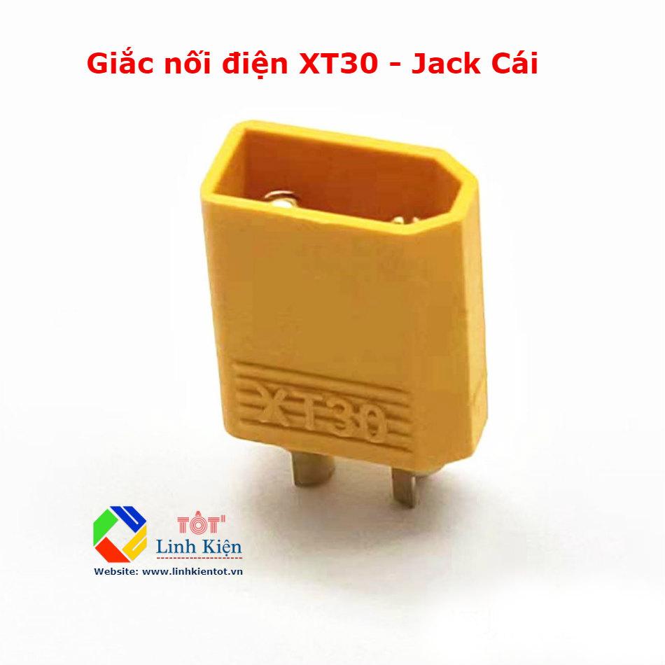 02 Cặp giắc nối XT30 đực cái - Jack nguồn pin quadrotor