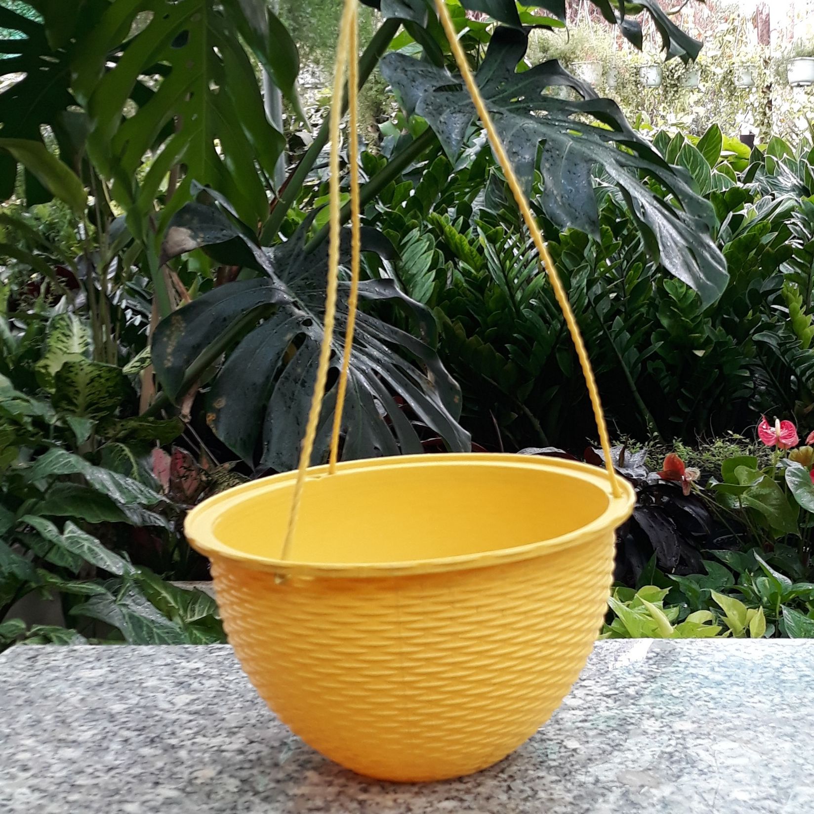 Chậu treo lục giác, đan mây, bí, lưới. Hatagarden