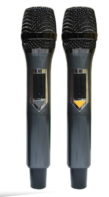 Bluetooth Sound System - Integrated 2 High-Quality Microphones.