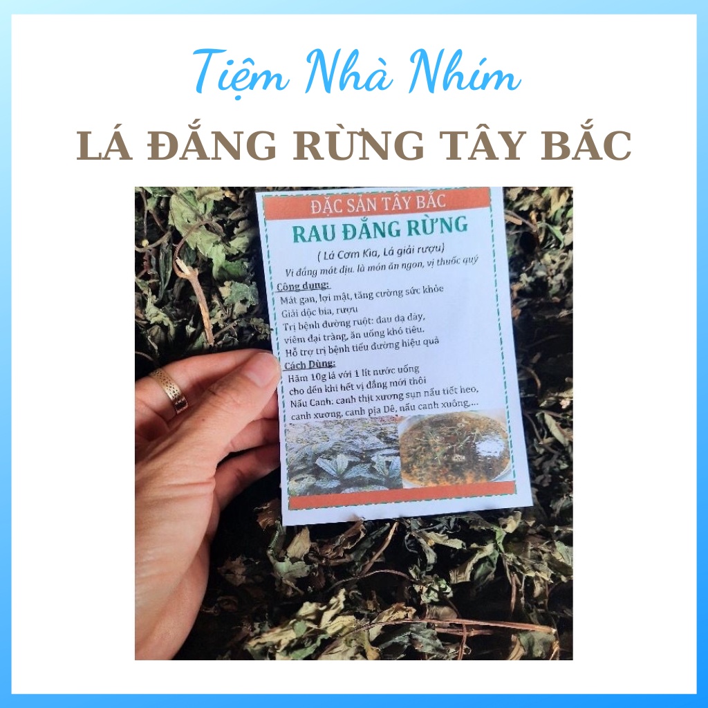 Lá Đắng ( Lá Cơm Kìa Rừng Tây Bắc ) Túi 500Gr