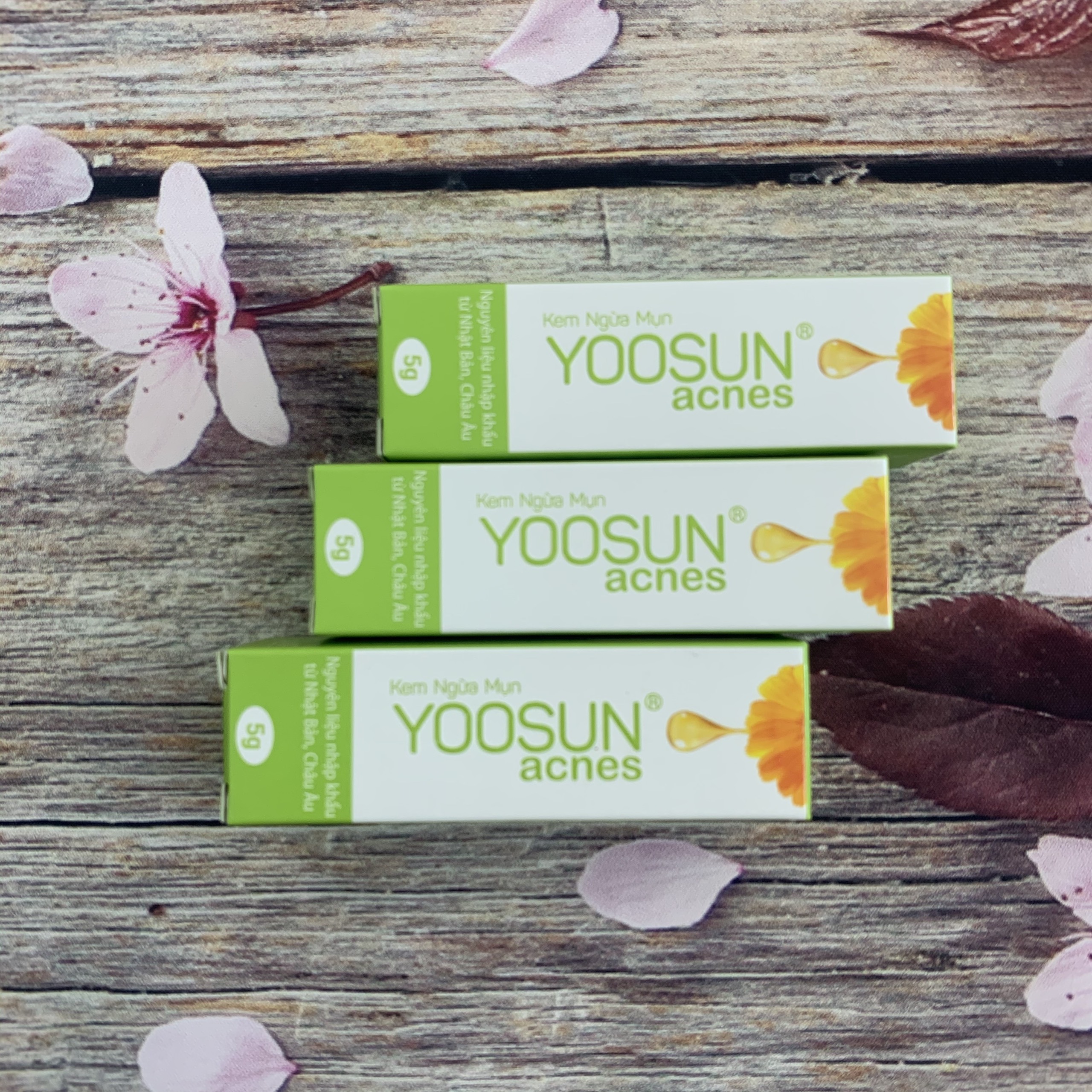 [CHÍNH HÃNG] Kem ngừa mụn YOOSUN ACNES 5g