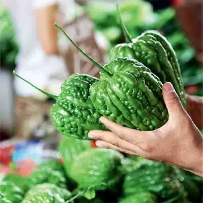 Hạt giống Mướp Đắng Trái Tim (Mướp Đắng Táo) 1gr