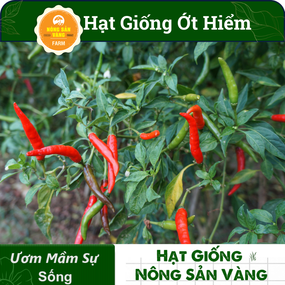 Hạt giống Ớt Hiểm, Dễ Trồng, Sinh Trưởng Và Phát Triển Khỏe, Năng Suất Cao (Gói 30 Hạt) - Nông Sản Vàng